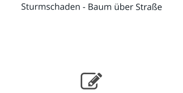 Sturmschaden - Baum über Straße     