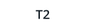 T2