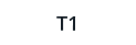 T1