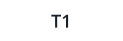 T1