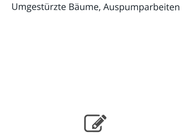 Umgestürzte Bäume, Auspumparbeiten    